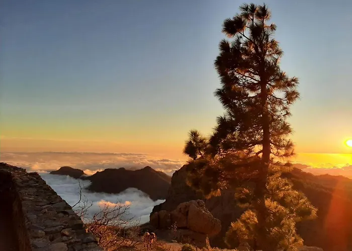 Vendégház Vv Condevega