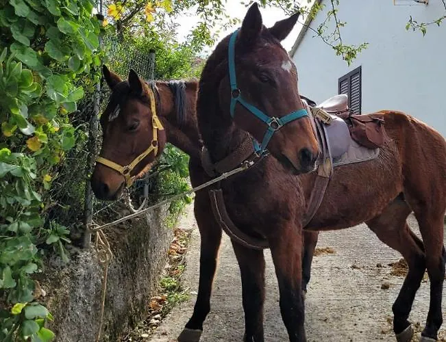 Vv Condevega Vendégház *