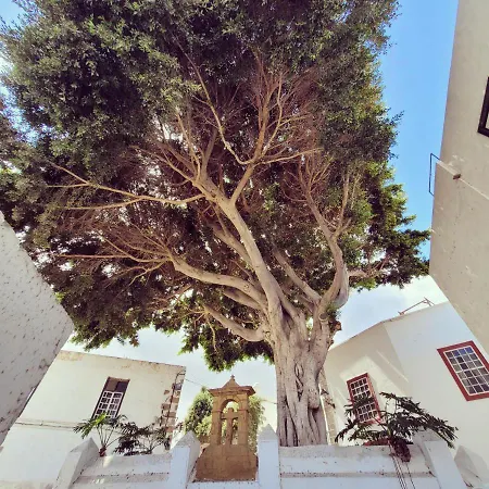 Vv Condevega 特尔德