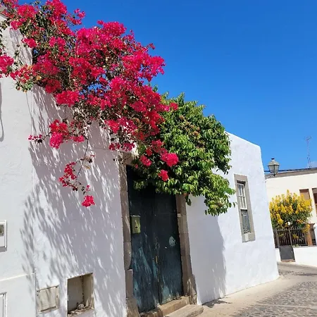 Vv Condevega טלדה